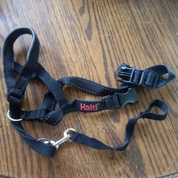 Halti dog collar - Picture 2 of 7